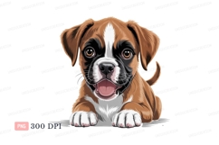 Brown boxer puppy with white markings image Product Image 1