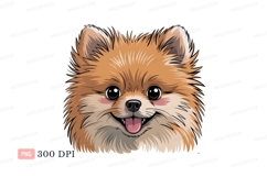 Fluffy Pomeranian dog portrait cute animal Product Image 1