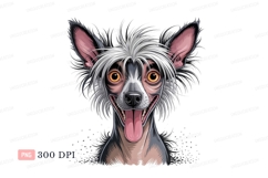 Chinese Crested Dog Funny Expression image Product Image 1