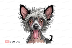 Chinese Crested Dog Portrait animal Product Image 1