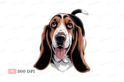Basset hound dog portrait canine animal Product Image 1