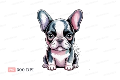 French bulldog puppy sitting canine Product Image 1
