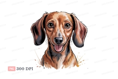 Brown Dachshund Portrait black ears Product Image 1
