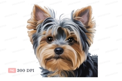 Yorkshire terrier portrait puppy canine Product Image 1