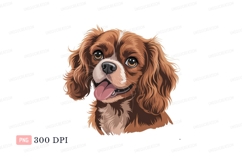 Brown Cavalier King Charles Spaniel canine animal Product Image 1