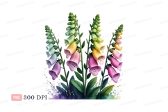 Colorful foxglove flowers nature bloom Product Image 1
