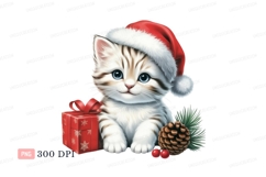 Fluffy kitten wearing santa hat with christmas gift Product Image 1
