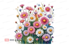 Pink white purple daisies yellow centers flowers Product Image 1