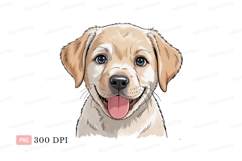 Happy golden puppy with blue eyes image Product Image 1
