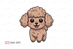 Cute fluffy poodle puppy image Product Image 1