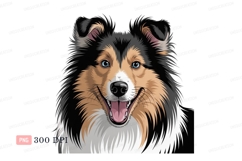 Happy dog face with blue eyes canine animal Product Image 1