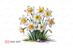 White yellow daffodils blooming spring orange green Product Image 1