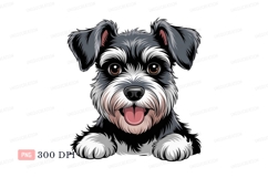Miniature schnauzer dog happy expression animal Product Image 1