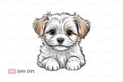 Fluffy white puppy with brown ears canine Product Image 1