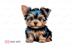 Fluffy Yorkshire terrier puppy animal Product Image 1