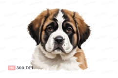 Saint Bernard puppy portrait canine animal Product Image 1