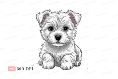 Fluffy white puppy sitting cute Product Image 1
