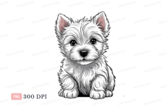 Fluffy white puppy sitting cute Product Image 1