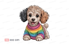 Curly dog wearing rainbow sweater poodle puppy Product Image 1