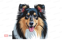 Collie dog portrait happy expression animal Product Image 1