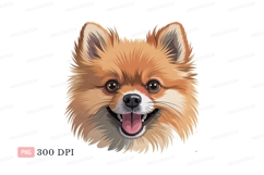 Fluffy orange dog smiling pomeranian canine Product Image 1
