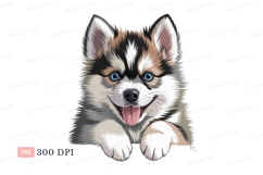 Fluffy husky puppy blue eyes canine animal Product Image 1