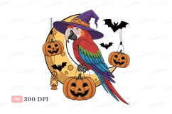 Parrot witch moon pumpkins crescent Product Image 1