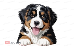 Bernese mountain dog puppy happy image Product Image 1