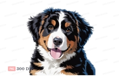Happy Bernese Mountain Dog Portrait image Product Image 1
