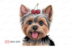 Yorkshire terrier with cherries puppy canine Product Image 1