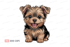 Fluffy brown puppy with blue eyes canine terrier Product Image 1