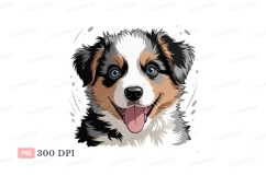 Australian Shepherd dog face blue Product Image 1