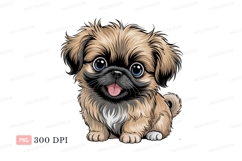 Fluffy puppy with blue eyes canine cute Product Image 1