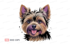 Yorkshire Terrier portrait puppy canine Product Image 1