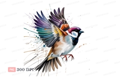 Colorful bird flight watercolor splash image Product Image 1