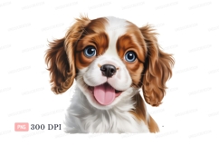 Happy brown white dog with blue eyes puppy canine Product Image 1