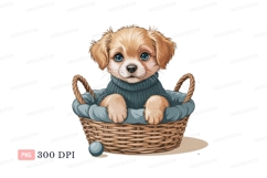 Fluffy puppy wearing sweater in basket blue Product Image 1