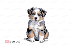 Australian Shepherd Puppy Cute image Product Image 1