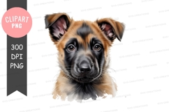 Young Shepherd Dog Portrait puppy canine Product Image 1