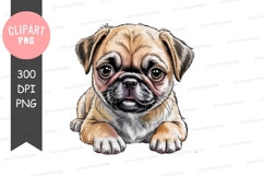 Adorable fawn pug puppy brown black Product Image 1