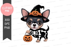 Cute chihuahua witch skeleton costume pumpkin Product Image 1