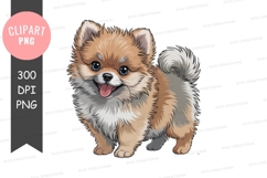 Fluffy Pomeranian puppy smiling cute Product Image 1