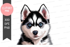 Husky puppy blue eyes black white animal canine Product Image 1