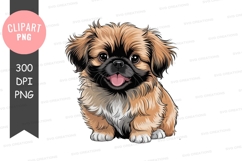 Fluffy Pekingese Puppy canine animal Product Image 1