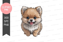 Fluffy Pomeranian puppy smiling cute Product Image 1