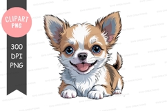 Adorable fluffy chihuahua puppy canine animal Product Image 1