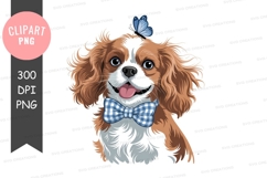 Brown white dog blue butterfly bow tie image Product Image 1