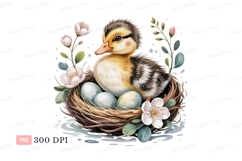 Fluffy duckling in nest with eggs flowers spring Product Image 1