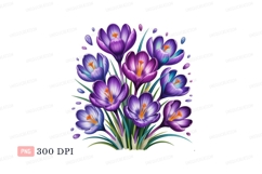 Purple crocus flowers with water droplets spring nature Product Image 1