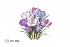 Purple white blue crocus flowers orange Product Image 1